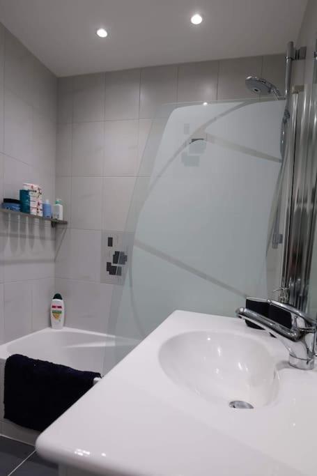 Appartement Centre Ville Rixheim Dış mekan fotoğraf